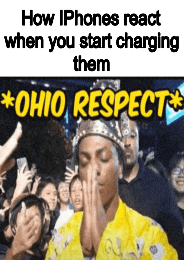 How IPhones react when you start charging them *OHIO RESPECT