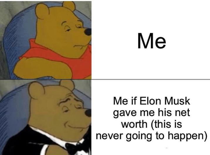 Me Me if Elon Musk gave me his net worth (this is never going to happen)