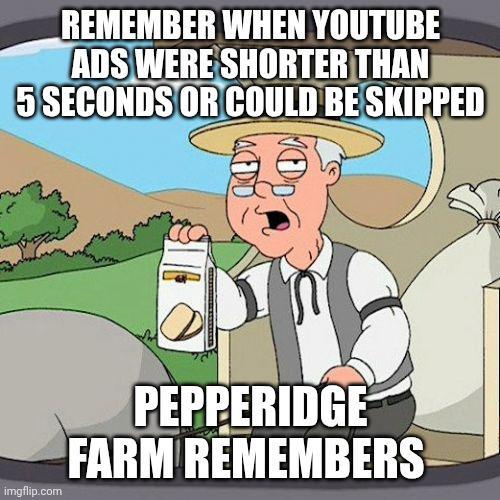 REMEMBER WHEN YOUTUBE ADS WERE SHORTER THAN 5 SECONDS OR COULD BE SKIPPED imgflip.com PEPPERIDGE FARM REMEMBERS