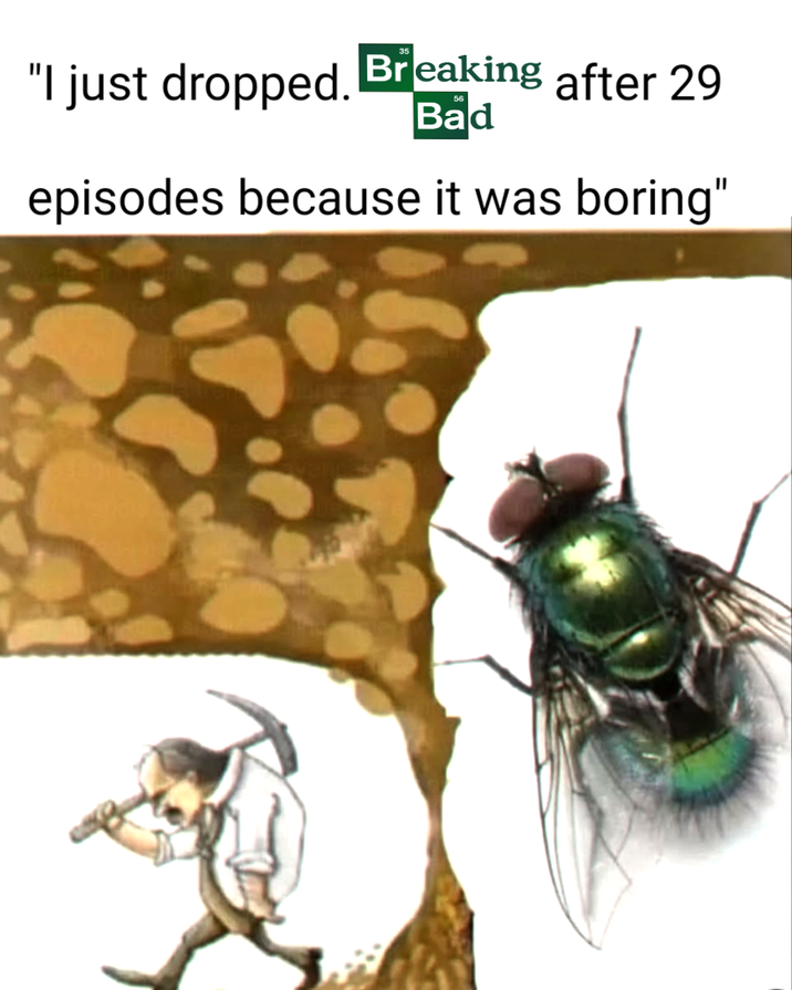 "I just dropped. Breaking after 29 56 Bad episodes because it was boring"