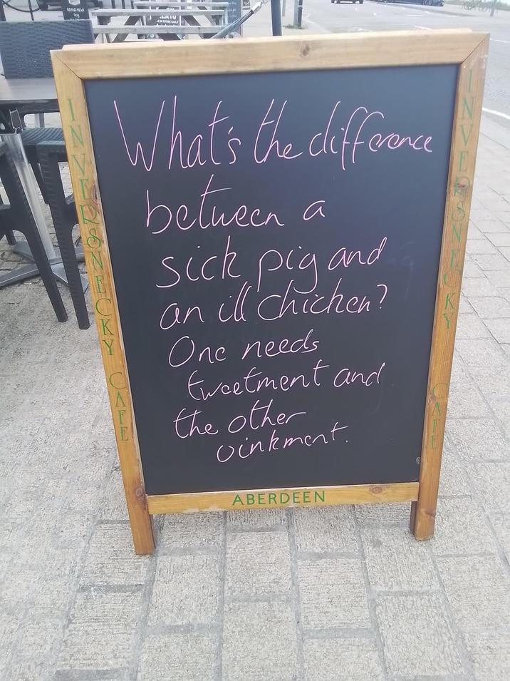 BRAND NEW Dog AIC 4 IN STORE BAILY a What's the difference between sick pig and an ill' chicken? One needs Ewcetment and the other vinkment ABERDEEN