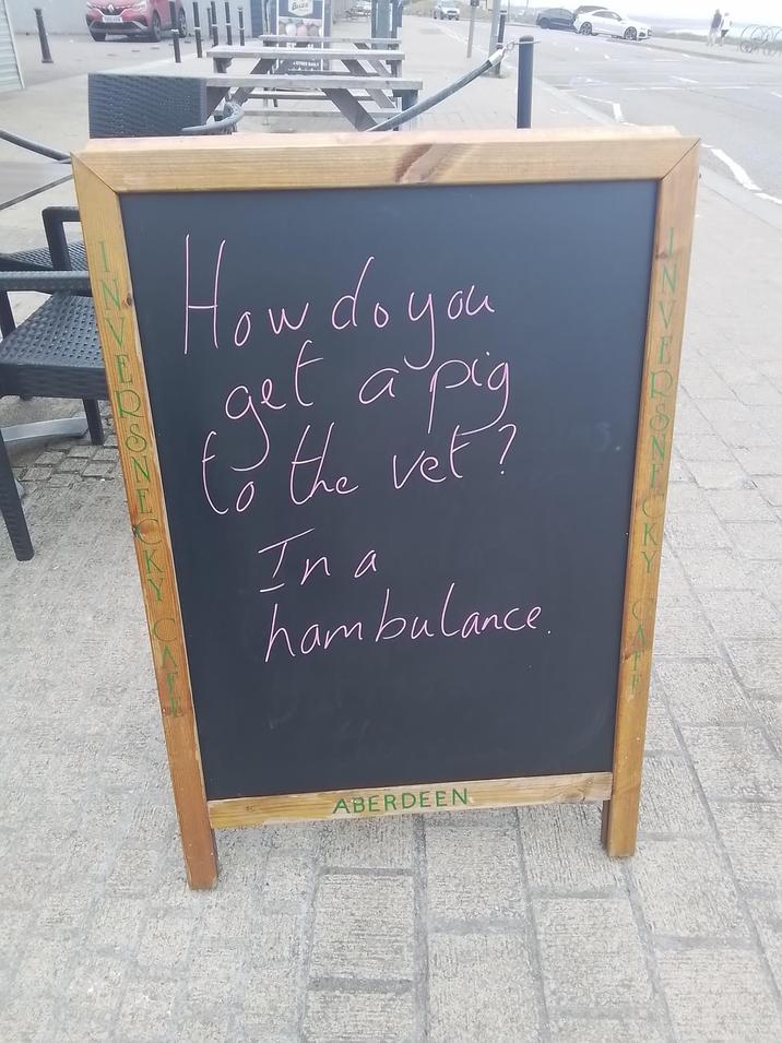 Buzz How do you •get a pig to the vet? In a hambulance ABERDEEN