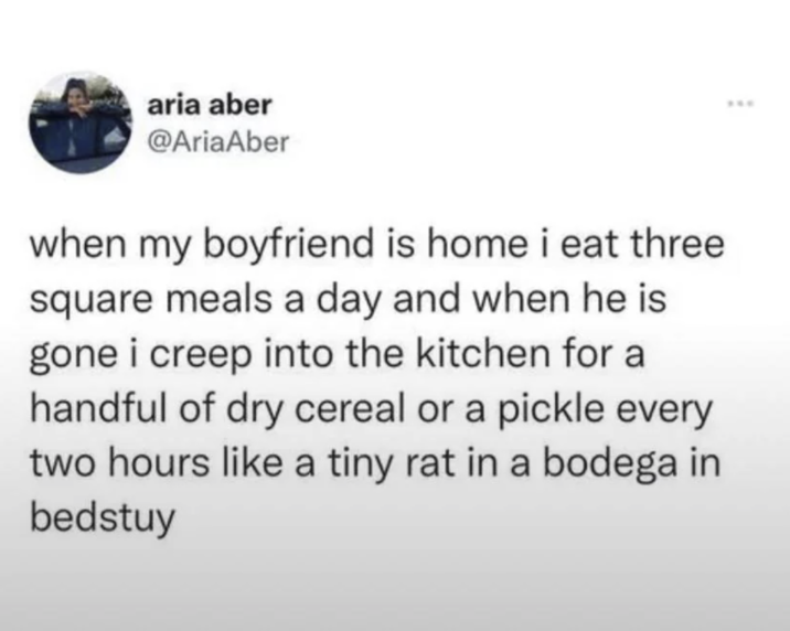 aria aber @AriaAber when my boyfriend is home i eat three square meals a day and when he is gone i creep into the kitchen for a handful of dry cereal or a pickle every two hours like a tiny rat in a bodega in bedstuy ***
