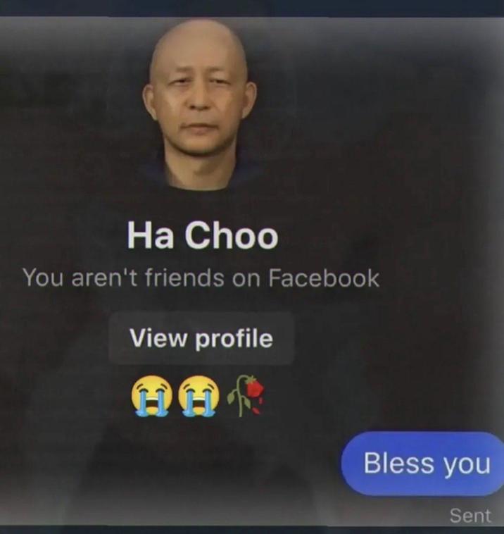 Ha Choo You aren't friends on Facebook View profile Bless you Sent