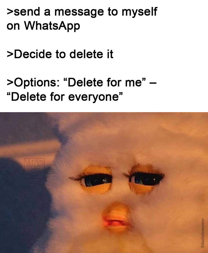 >send a message to myself on WhatsApp >Decide to delete it >Options: "Delete for me" "Delete for everyone" - LEMON AU LAIT @danielememer
