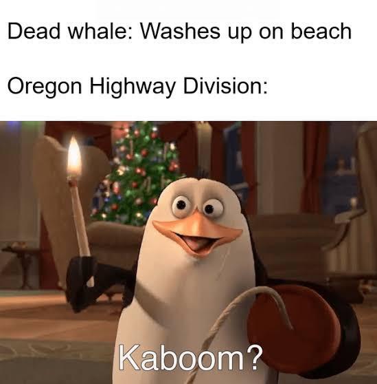 Dead whale: Washes up on beach Oregon Highway Division: Kaboom?