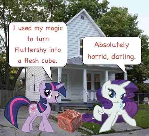 An MLP meme by Nyazsche about turning Fluttershy into a flesh cube.