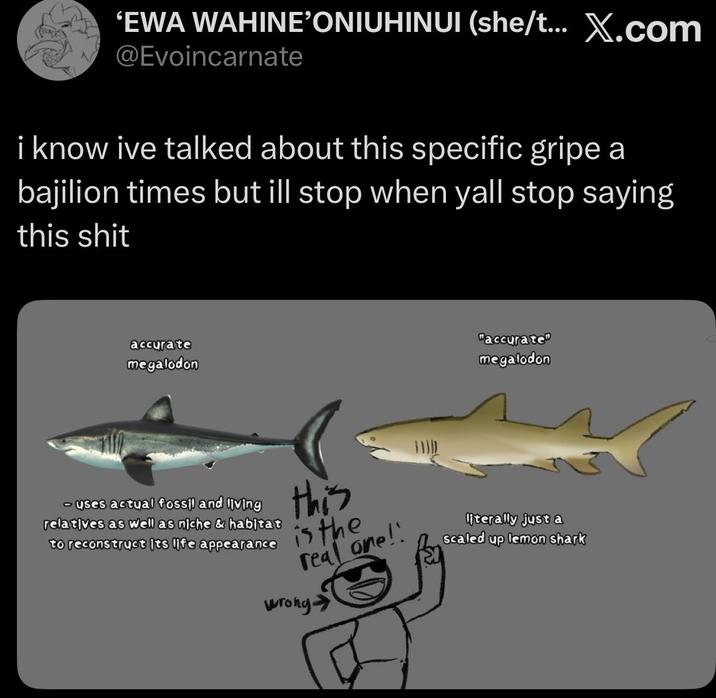 'EWA WAHINE'ONIUHINUI (she/t... X.com @Evoincarnate i know ive talked about this specific gripe a bajilion times but ill stop when yall stop saying this s--- accurate megalodon - uses actual fossil and living relatives as well as niche & habitat to reconstruct its life appearance "accurate" megalodon this is the real one!! literally just a scaled up lemon shark wrong