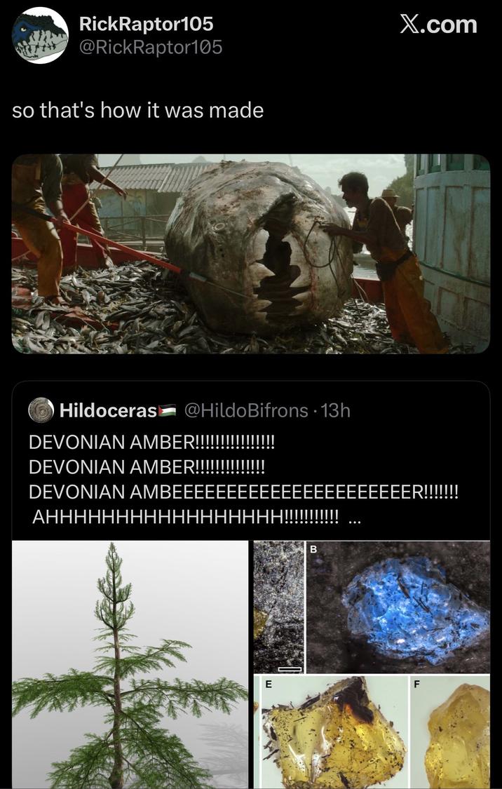RickRaptor 105 @RickRaptor105 so that's how it was made X.com Hildoceras @Hildo Bifrons - 13h DEVONIAN AMBER!!!!!!!!!!!!!!!! DEVONIAN AMBER!!!!!!!!!!!!!! DEVONIAN AMBEEEEEEEEEEEEEEEEEEEEEER!!!!!!! AHHHHHHHHHHHHHHHHH!!!!!!!!!!! B E F