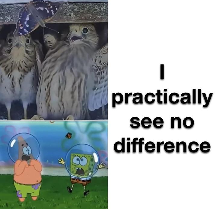 practically see no difference