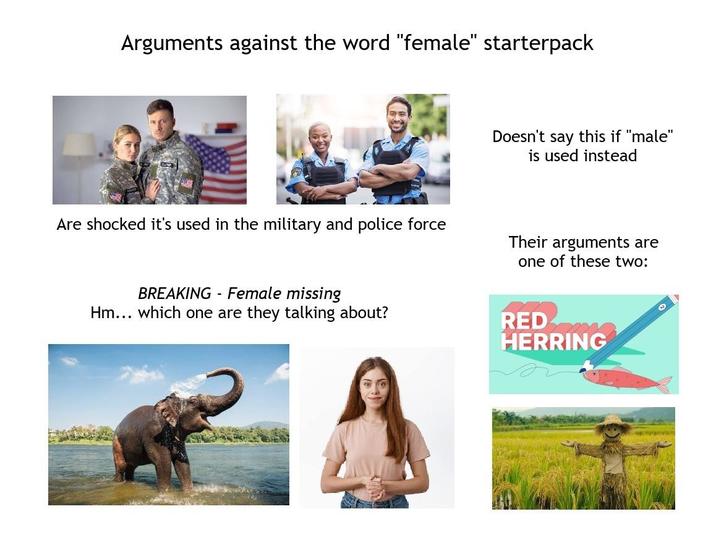 Arguments against the word "female" starterpack Doesn't say this if "male" is used instead Are shocked it's used in the military and police force Their arguments are one of these two: BREAKING - Female missing Hm... which one are they talking about? RED HERRING