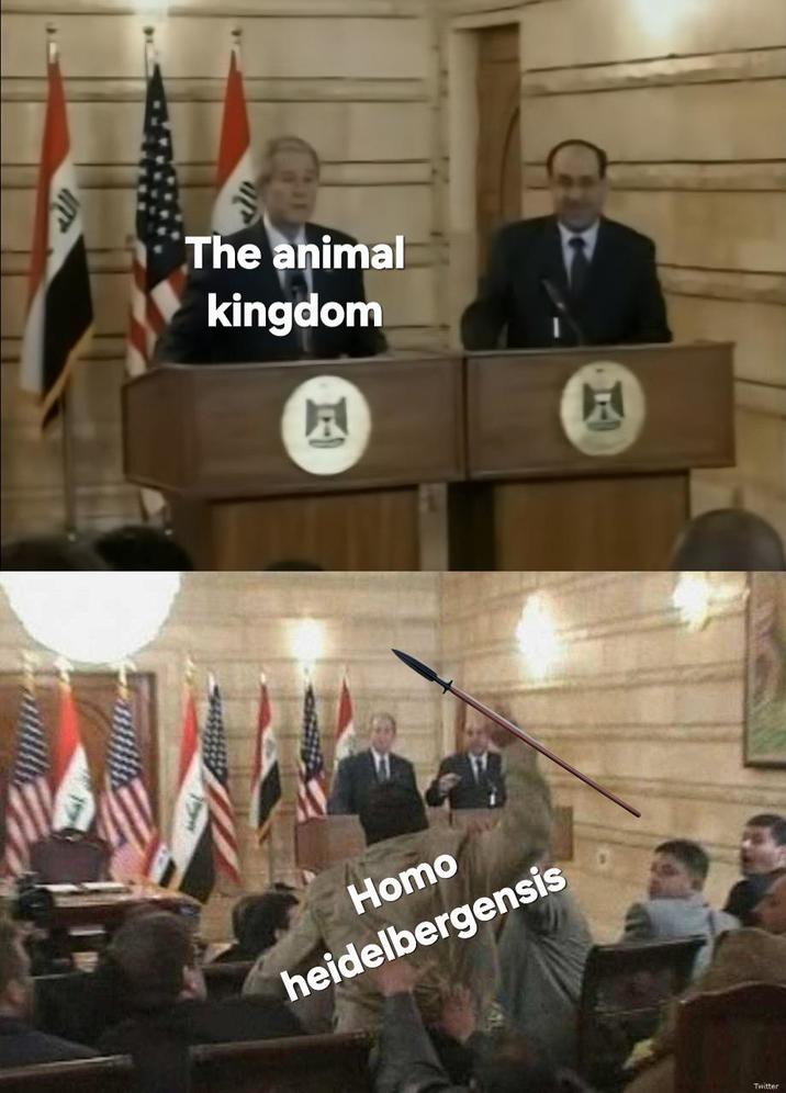 الله The animal kingdom E H--- heidelbergensis F\ Twitter