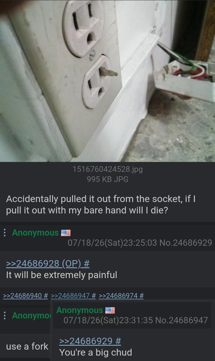 1516760424528.jpg 995 KB JPG Accidentally pulled it out from the socket, if I pull it out with my bare hand will I die? Anonymous 07/18/26(Sat)23:25:03 No.24686929 >>24686928 (OP) # It will be extremely painful >>24686940 # >>24686947 # >>24686974 # : Anonymo use a fork Anonymous 07/18/26(Sat)23:31:35 No.24686947 >>24686929 # You're a big chud