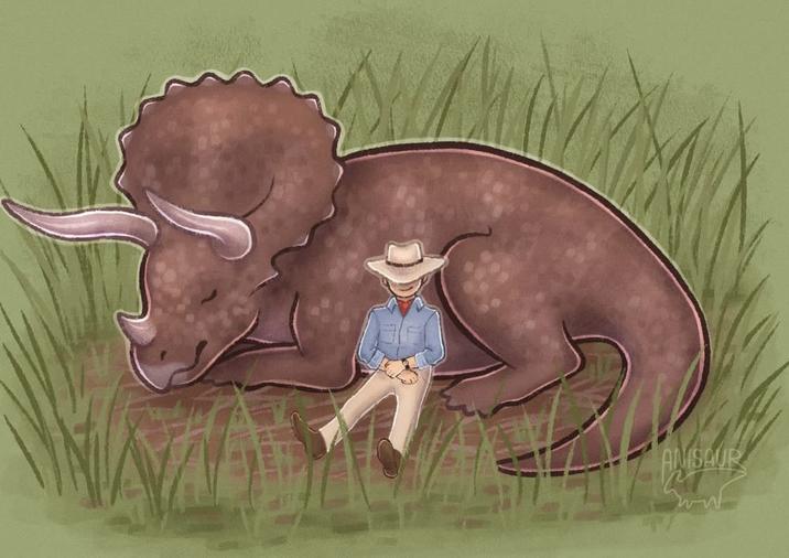 ми ANISAUR