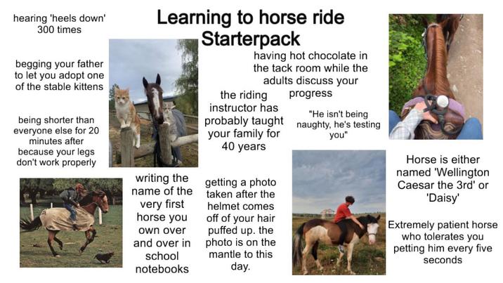 hearing 'heels down' 300 times begging your father to let you adopt one of the stable kittens Learning to horse ride Starterpack having hot chocolate in the tack room while the adults discuss your the riding progress being shorter than everyone else for 20 minutes after because your legs don't work properly writing the name of the very first horse you own over and over in school notebooks instructor has "He isn't being probably taught naughty, he's testing your family for 40 years getting a photo taken after the helmet comes off of your hair puffed up. the photo is on the Imantle to this day. you" Horse is either named 'Wellington Caesar the 3rd' or 'Daisy' Extremely patient horse who tolerates you petting him every five seconds