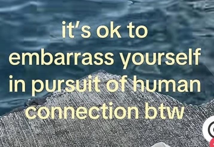 it's ok to embarrass yourself in pursuit of human connection btw