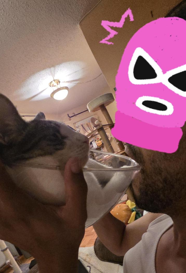 28