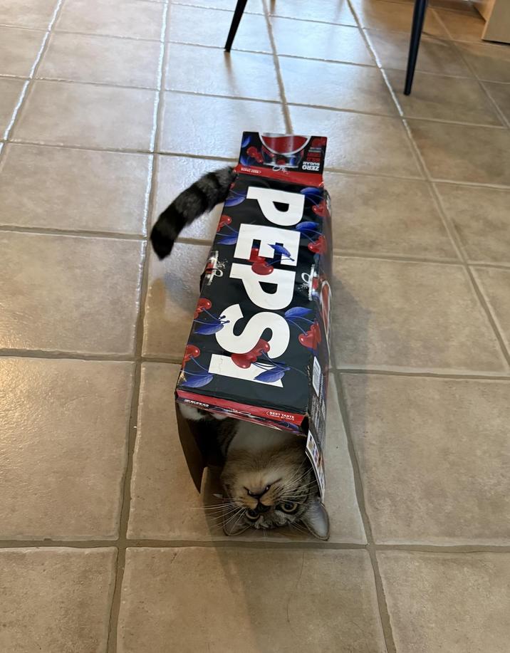 PEPSY