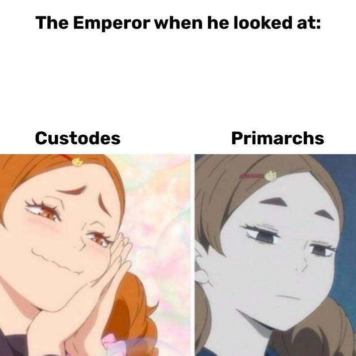 The Emperor when he looked at: Custodes Primarchs