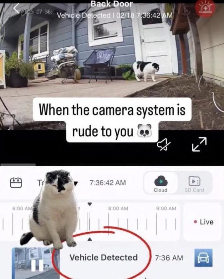 6:00 AM Back Door 507 36: Vehicle Detected | 02/18 7:36:42 AM When the camera system is rude to you Tr 7:36:42 AM Cloud SD Card 8:00 AM 9:00 AM • Live Vehicle Detected 7:36 AM סי