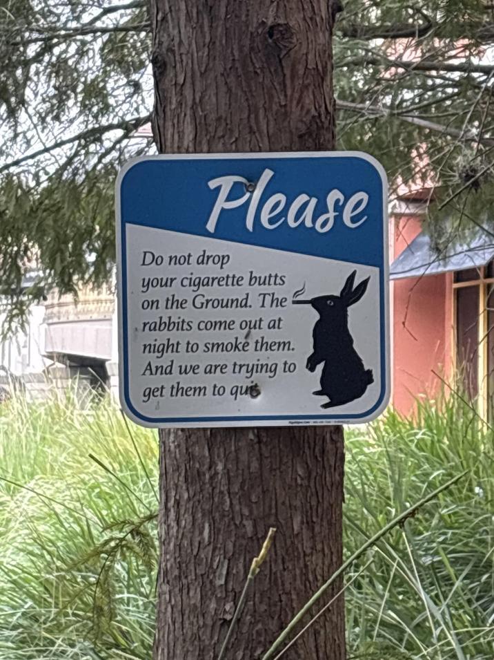 Flease Do not drop your c-------- on the Ground. The rabbits come out at night to smoke them. And we are trying to get them to qui