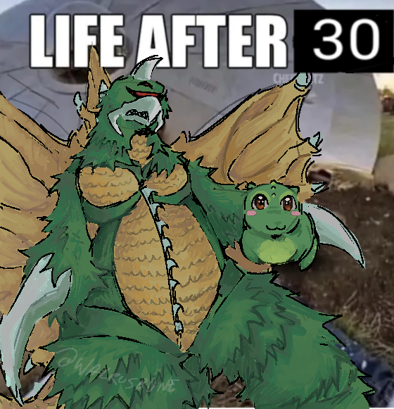 LIFE AFTER 30