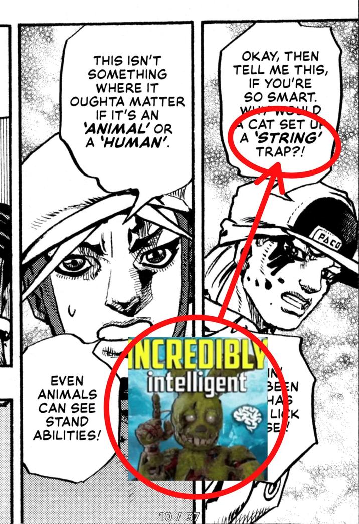 THIS ISN'T SOMETHING WHERE IT OUGHTA MATTER IF IT'S AN 'ANIMAL' OR A 'HUMAN'. OKAY, THEN TELL ME THIS, IF YOU'RE SO SMART. WOULD CAT SET UP A 'STRING' TRAP?! PACO EVEN ANIMALS CAN SEE STAND ABILITIES! NCREDIBLY intelligent BEEN IN HAS LICK SE! 10 / 37
