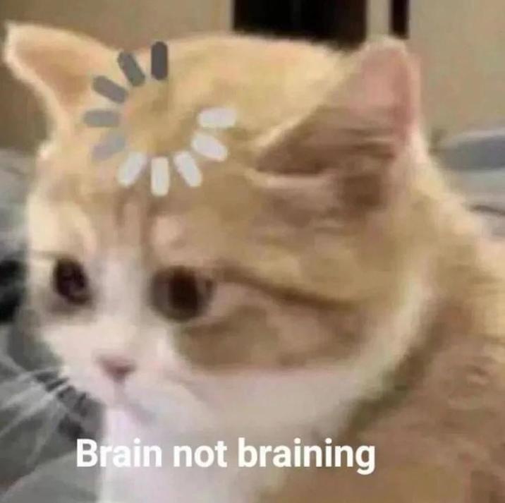 Brain not braining