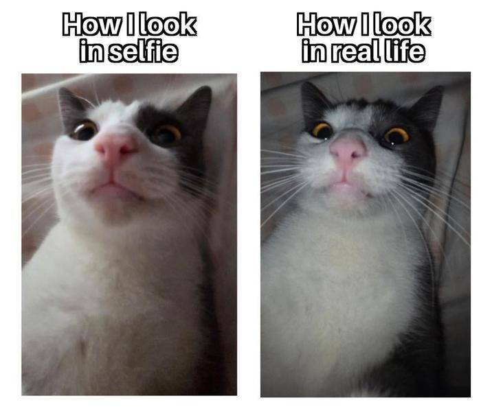 How I look in selfie How I look in real life