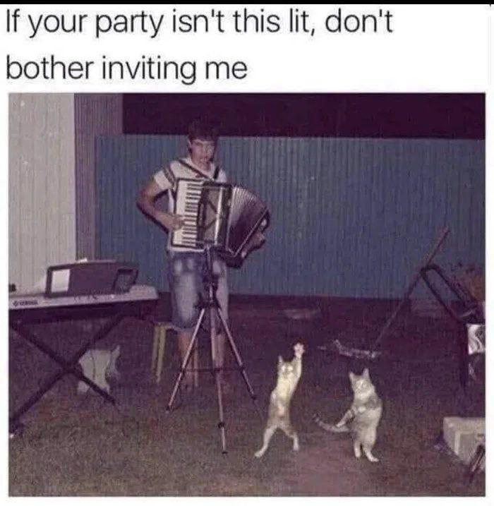 If your party isn't this lit, don't bother inviting me