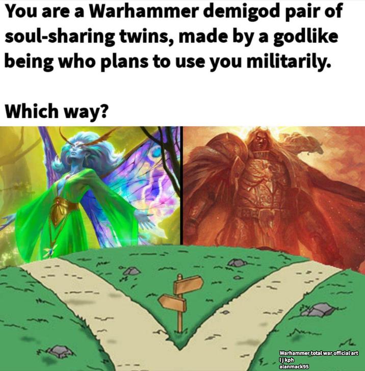 You are a Warhammer demigod pair of soul-sharing twins, made by a godlike being who plans to use you militarily. Which way? Warhammer total war official art lj kph alanmack95