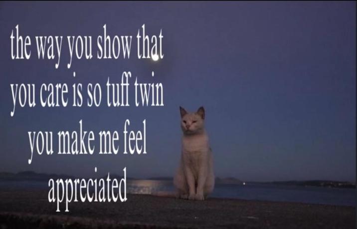 the way you show that you care is so tuff twin you make me feel appreciated