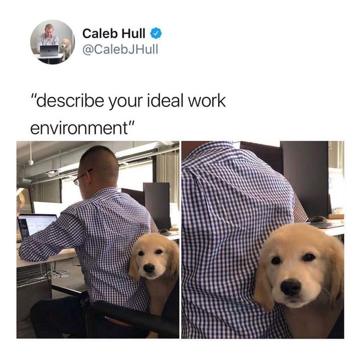 Caleb Hull @CalebJHull "describe your ideal work environment"