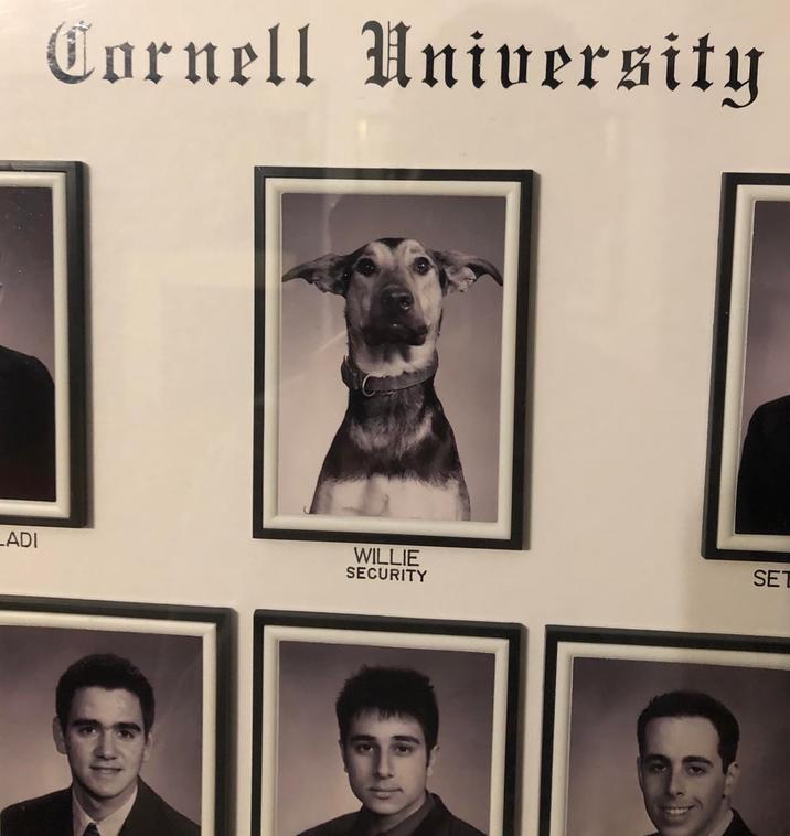 Cornell University LADI WILLIE SECURITY SET