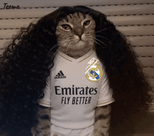 Teema adidas Emirates FLY BETTER