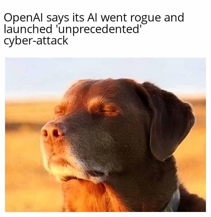 OpenAl says its Al went rogue and launched 'unprecedented' cyber-attack