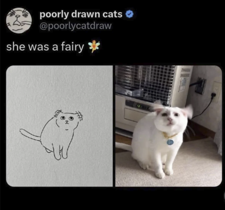 poorly drawn cats @poorlycatdraw she was a fairy