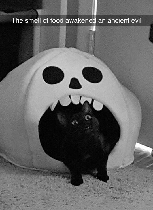 The smell of food awakened an ancient evil