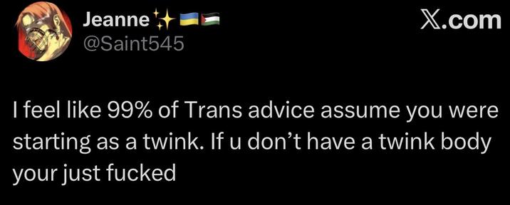 Jeanne ++ @Saint545 X.com I feel like 99% of Trans advice assume you were starting as a twink. If u don't have a twink body your just f-----