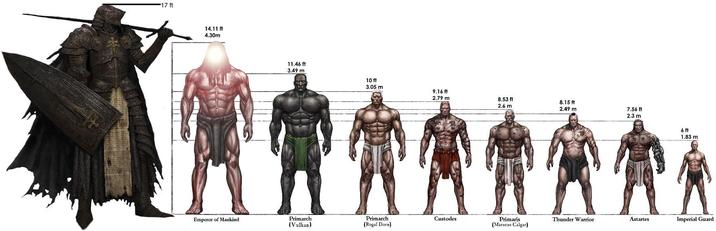 17 ft 14.11 ft 4.30m 11.46 ft 3.49 m 10 ft 3.05 m 9.16 ft 2.79 m 8.53 ft 8.15 ft 2.6 m 2.49 m 7.56 ft 2.3 m 6 ft 1.83 m Emperor of Mankind Primarch (Vulkan) Primarch (Rogal Dorn) Custodes Primaris (Marneus Calgar) Thunder Warrior Astartes Imperial Guard