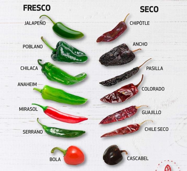 FRESCO JALAPEÑO SECO CHIPÒTLE POBLANO CHILACA ANCHO PASILLA ANAHEIM COLORADO MIRASOL SERRANO GUAJILLO CHILE SECO BOLA CASCABEL