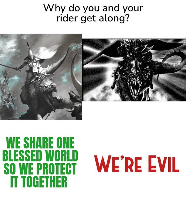 Why do you and your rider get along? WE SHARE ONE BLESSED WORLD SO WE PROTECT WE'RE EVIL IT TOGETHER