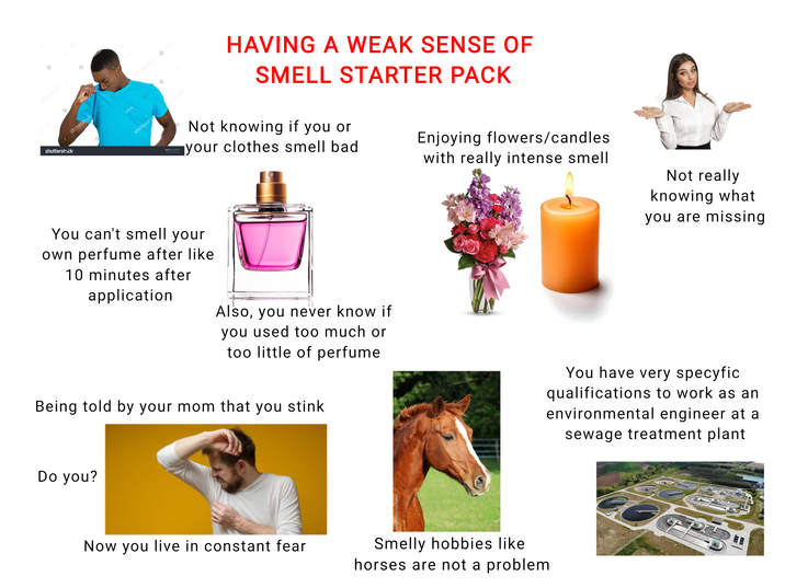 shutterstock shutterstock shuttersto B HAVING A WEAK SENSE OF SMELL STARTER PACK Not knowing if you or your clothes smell bad You can't smell your own perfume after like 10 minutes after application Also, you never know if you used too much or too little of perfume Being told by your mom that you stink Do you? Enjoying flowers/candles with really intense smell Not really knowing what you are missing Now you live in constant fear Smelly hobbies like horses are not a problem You have very specyfic qualifications to work as an environmental engineer at a sewage treatment plant