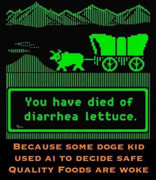 You have died of diarrhea lettuce. BECAUSE SOME DOGE KID USED AI TO DECIDE SAFE QUALITY FOODS ARE WOKE