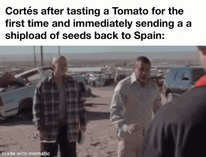 Cortés after tasting a Tomato for the first time and immediately sending a a shipload of seeds back to Spain: made with mematic