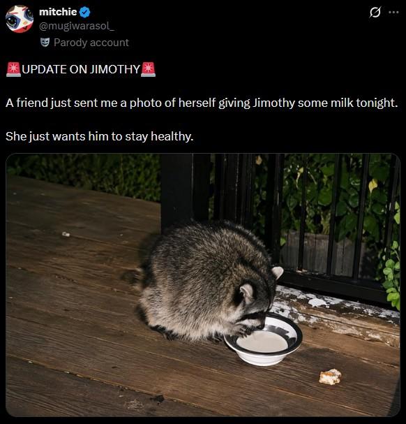 mitchie @mugiwarasol Parody account *UPDATE ON JIMOTHY 0 A friend just sent me a photo of herself giving Jimothy some milk tonight. She just wants him to stay healthy.