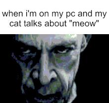 when i'm on my pc and my cat talks about "meow"