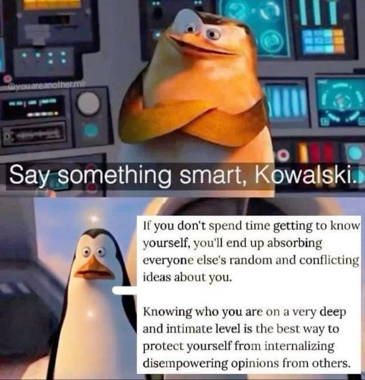 @youare another me Say something smart, Kowalski. If you don't spend time getting to know yourself, you'll end up absorbing everyone else's random and conflicting ideas about you. Knowing who you are on a very deep and intimate level is the best way to protect yourself from internalizing disempowering opinions from others.