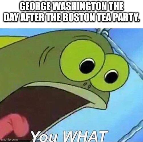 GEORGE WASHINGTON THE DAY AFTER THE BOSTON TEA PARTY. imgflip.com You WHAT