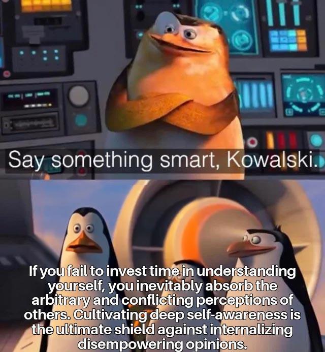 Say something smart, Kowalski. If you fail to invest time in understanding yourself, you inevitably absorb the arbitrary and conflicting perceptions of others. Cultivating deep self-awareness is the ultimate shield against internalizing disempowering opinions.